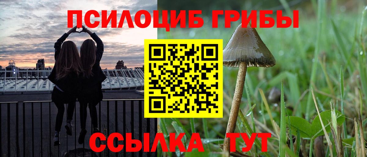Галлюциногенные грибы прущие грибы  Вход с VPN  Обнинск 